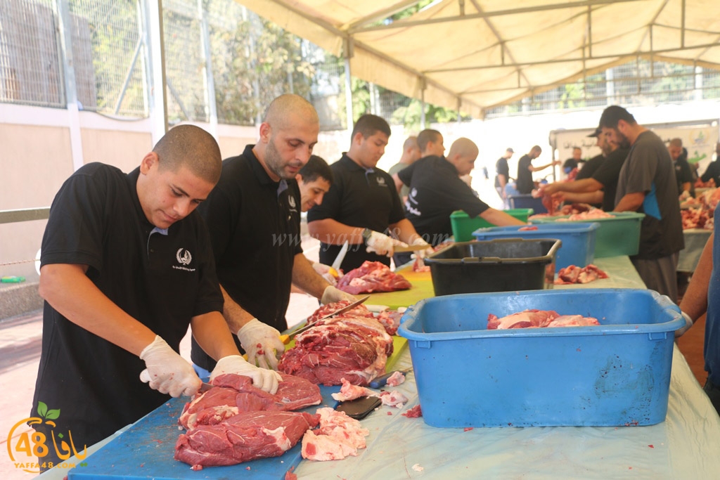 ada7y forthei (50).JPG